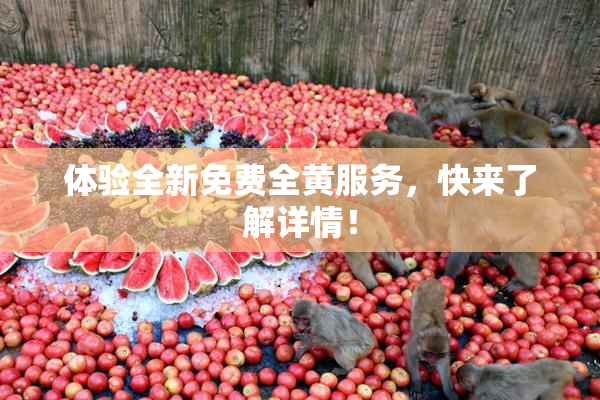 体验全新免费全黄服务，快来了解详情！