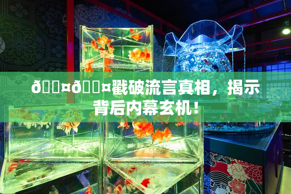 🐤🐤戳破流言真相，揭示背后内幕玄机！