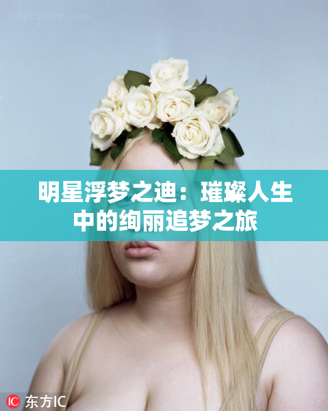明星浮梦之迪：璀璨人生中的绚丽追梦之旅