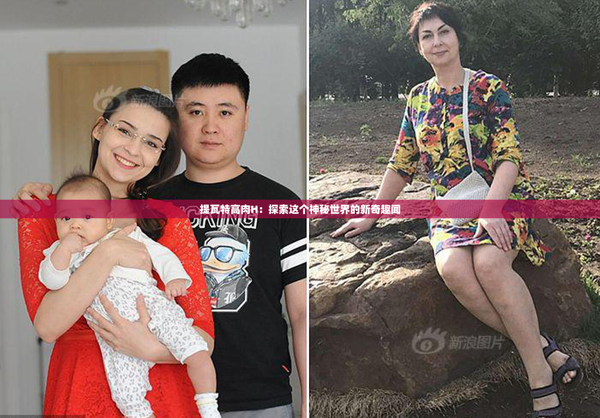 提瓦特高肉H：探索这个神秘世界的新奇趣闻
