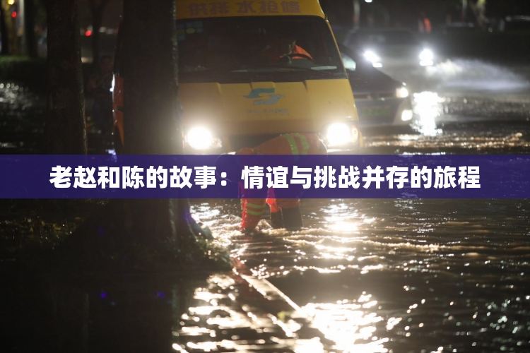 老赵和陈的故事：情谊与挑战并存的旅程