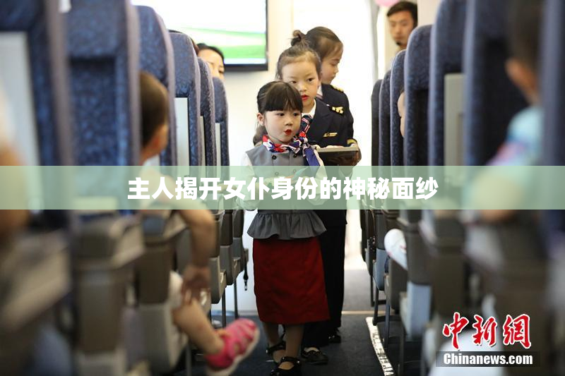 主人揭开女仆身份的神秘面纱