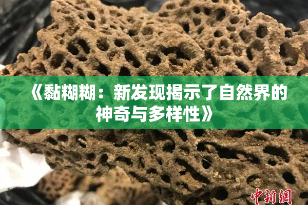《黏糊糊：新发现揭示了自然界的神奇与多样性》