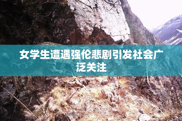 女学生遭遇强伦悲剧引发社会广泛关注