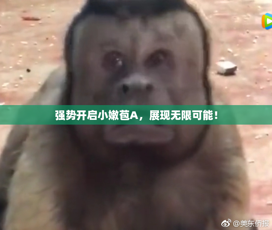 强势开启小嫩苞A，展现无限可能！