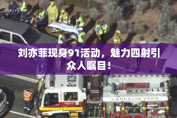 刘亦菲现身91活动，魅力四射引众人瞩目！
