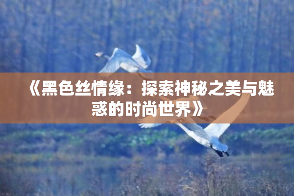 《黑色丝情缘：探索神秘之美与魅惑的时尚世界》