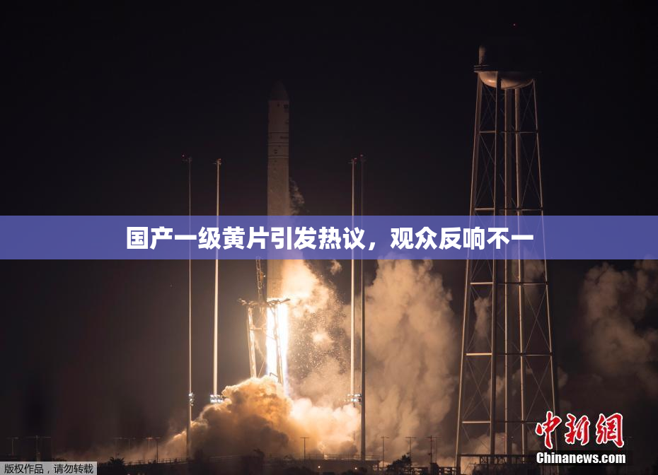 国产一级黄片引发热议，观众反响不一