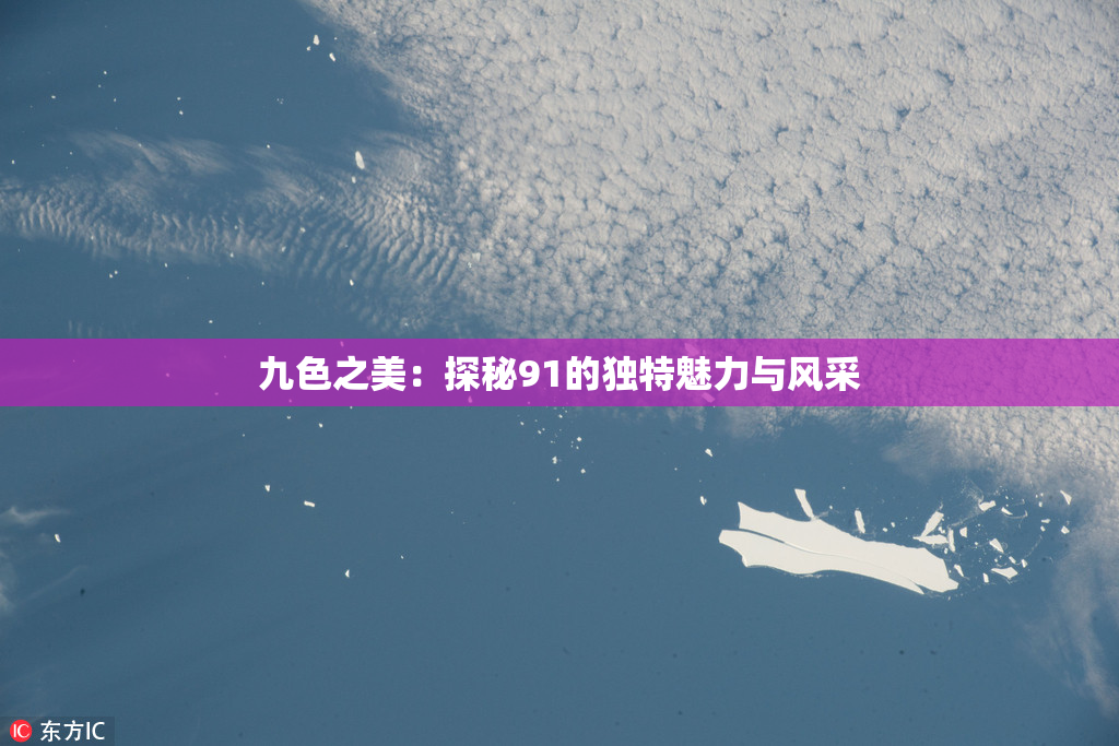 九色之美：探秘91的独特魅力与风采