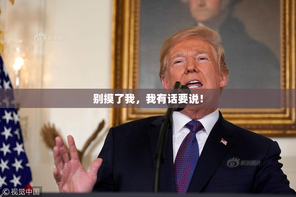 别摸了我，我有话要说！