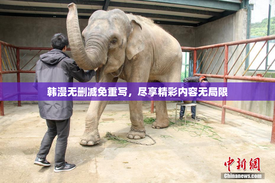 韩漫无删减免重写，尽享精彩内容无局限