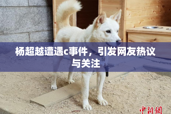 杨超越遭遇c事件，引发网友热议与关注