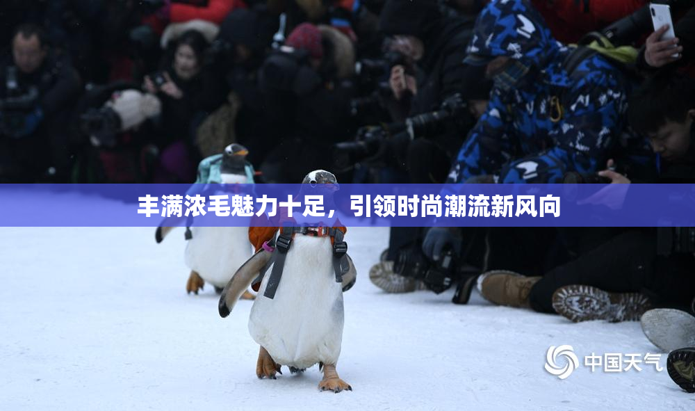 丰满浓毛魅力十足，引领时尚潮流新风向