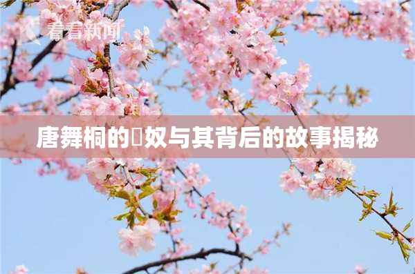 唐舞桐的婬奴与其背后的故事揭秘