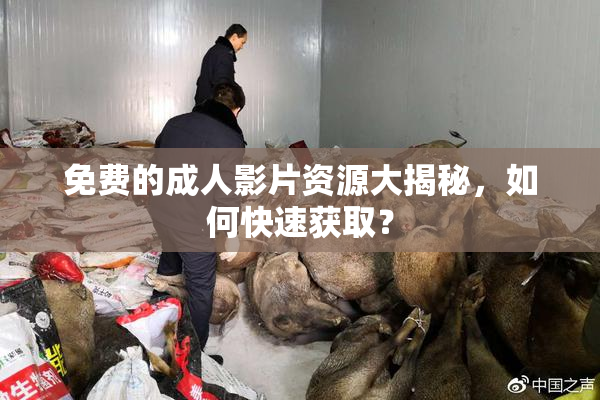 免费的成人影片资源大揭秘，如何快速获取？