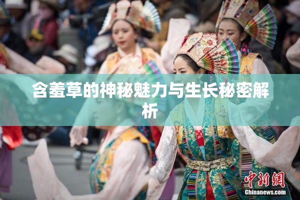 含羞草的神秘魅力与生长秘密解析