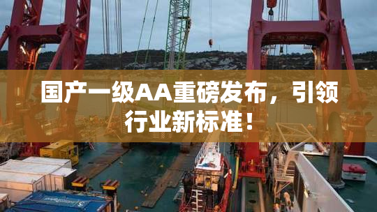 国产一级AA重磅发布，引领行业新标准！
