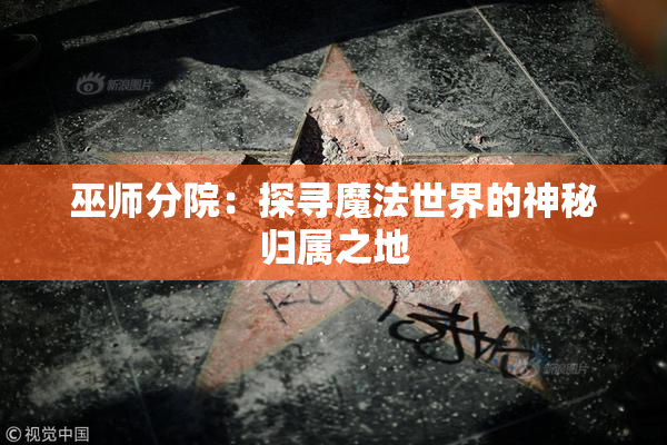 巫师分院：探寻魔法世界的神秘归属之地