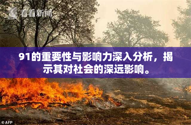 91的重要性与影响力深入分析，揭示其对社会的深远影响。