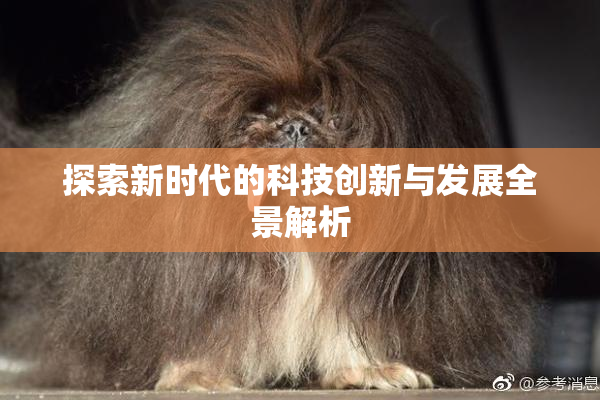 探索新时代的科技创新与发展全景解析