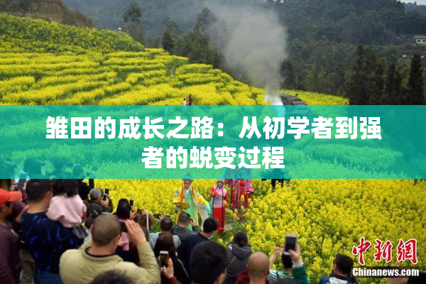 雏田的成长之路：从初学者到强者的蜕变过程