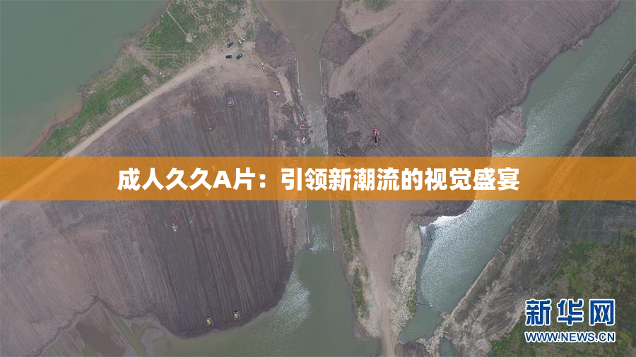 成人久久A片：引领新潮流的视觉盛宴