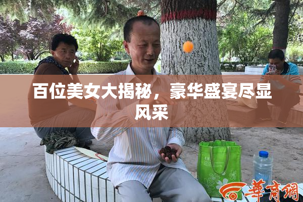 百位美女大揭秘，豪华盛宴尽显风采