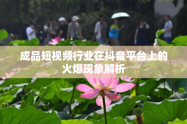 成品短视频行业在抖音平台上的火爆现象解析