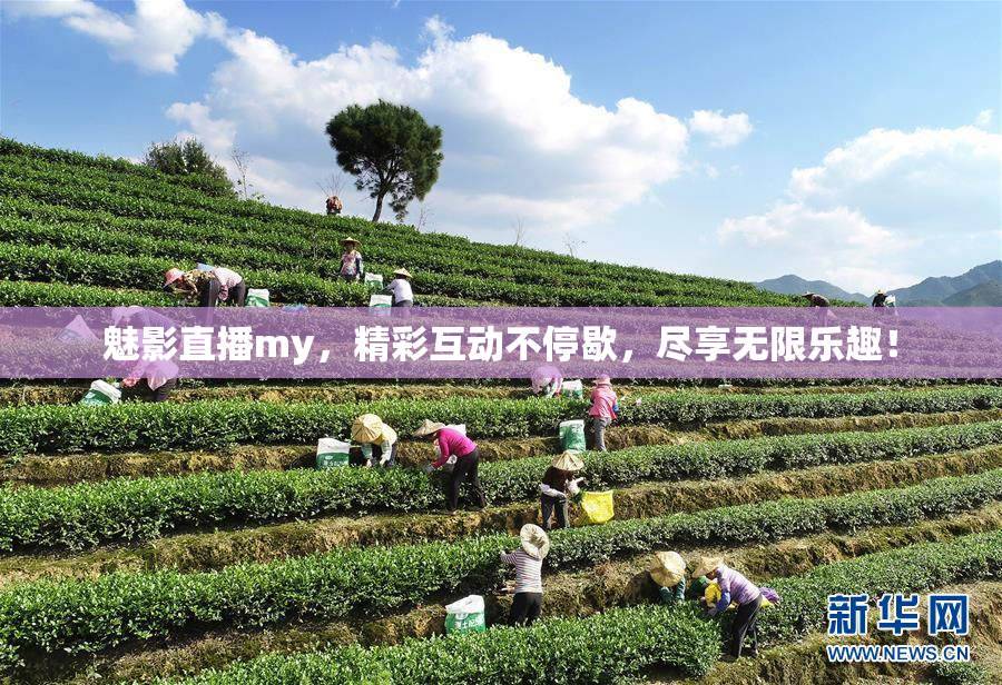 魅影直播my，精彩互动不停歇，尽享无限乐趣！