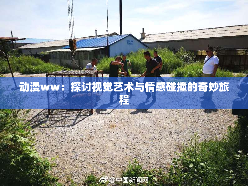 动漫ww：探讨视觉艺术与情感碰撞的奇妙旅程