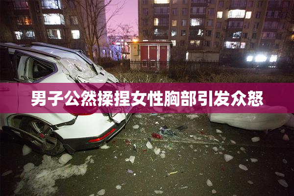 男子公然揉捏女性胸部引发众怒