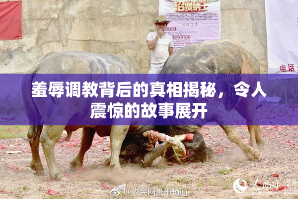 羞辱调教背后的真相揭秘，令人震惊的故事展开