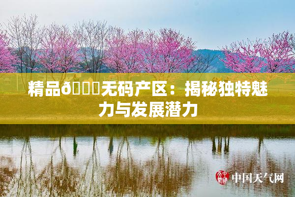 精品🌃无码产区：揭秘独特魅力与发展潜力