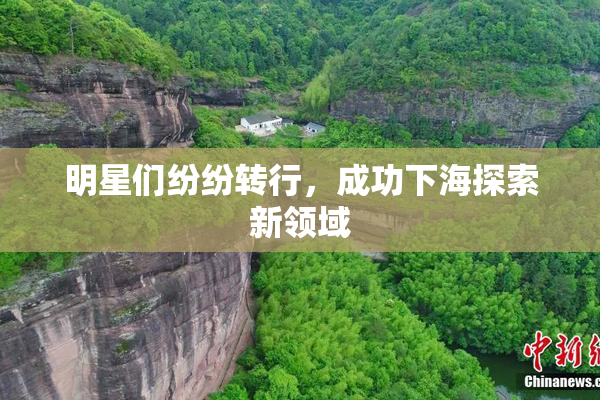 明星们纷纷转行，成功下海探索新领域