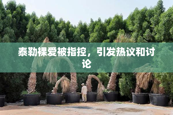 泰勒裸爱被指控，引发热议和讨论