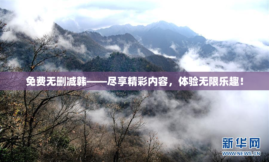 免费无删减韩——尽享精彩内容，体验无限乐趣！