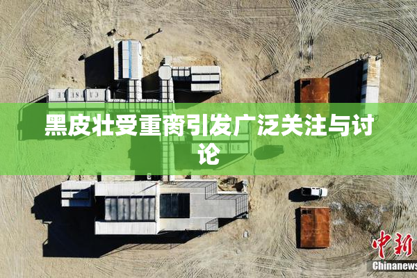 黑皮壮受重脔引发广泛关注与讨论
