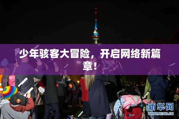 少年骇客大冒险，开启网络新篇章！