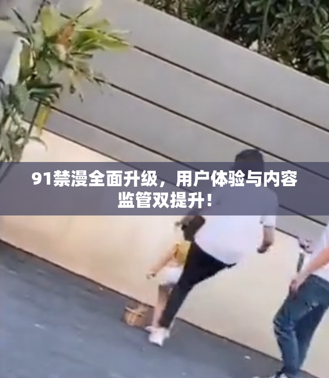 91禁漫全面升级，用户体验与内容监管双提升！