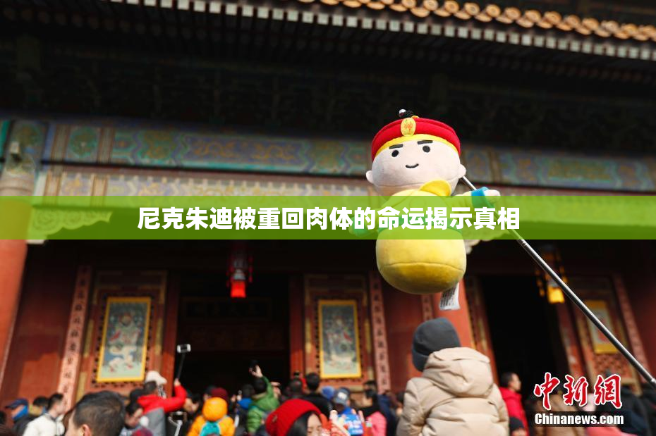 尼克朱迪被重回肉体的命运揭示真相