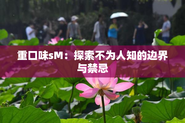 重口味sM：探索不为人知的边界与禁忌