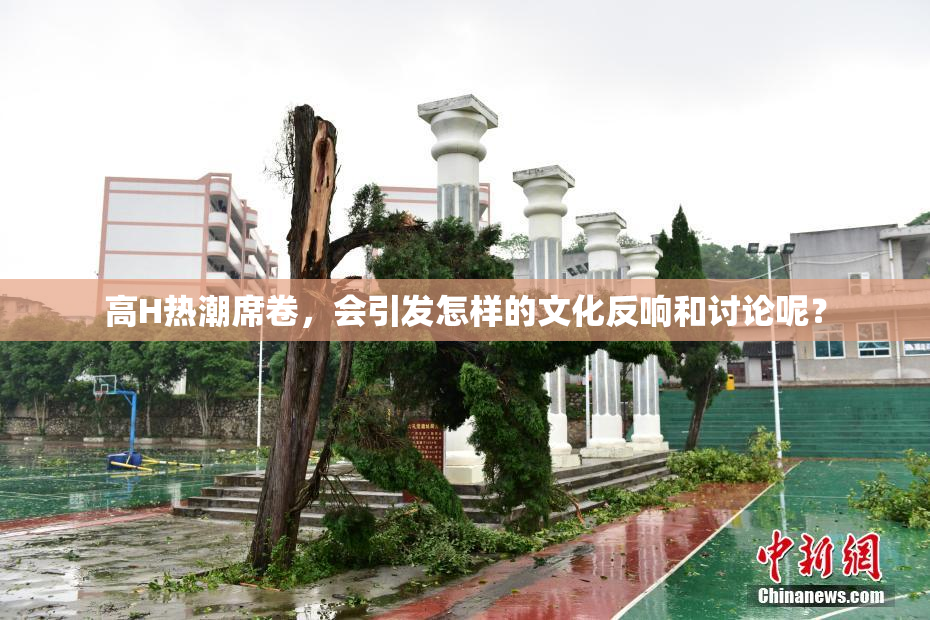 高H热潮席卷，会引发怎样的文化反响和讨论呢？