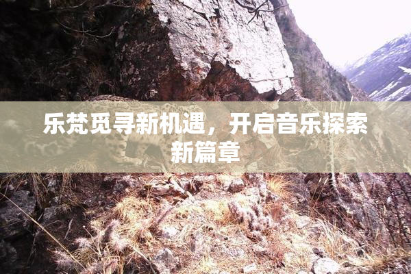 乐梵觅寻新机遇，开启音乐探索新篇章