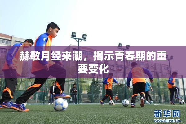 赫敏月经来潮，揭示青春期的重要变化