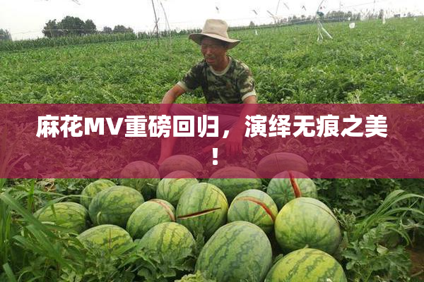麻花MV重磅回归，演绎无痕之美！