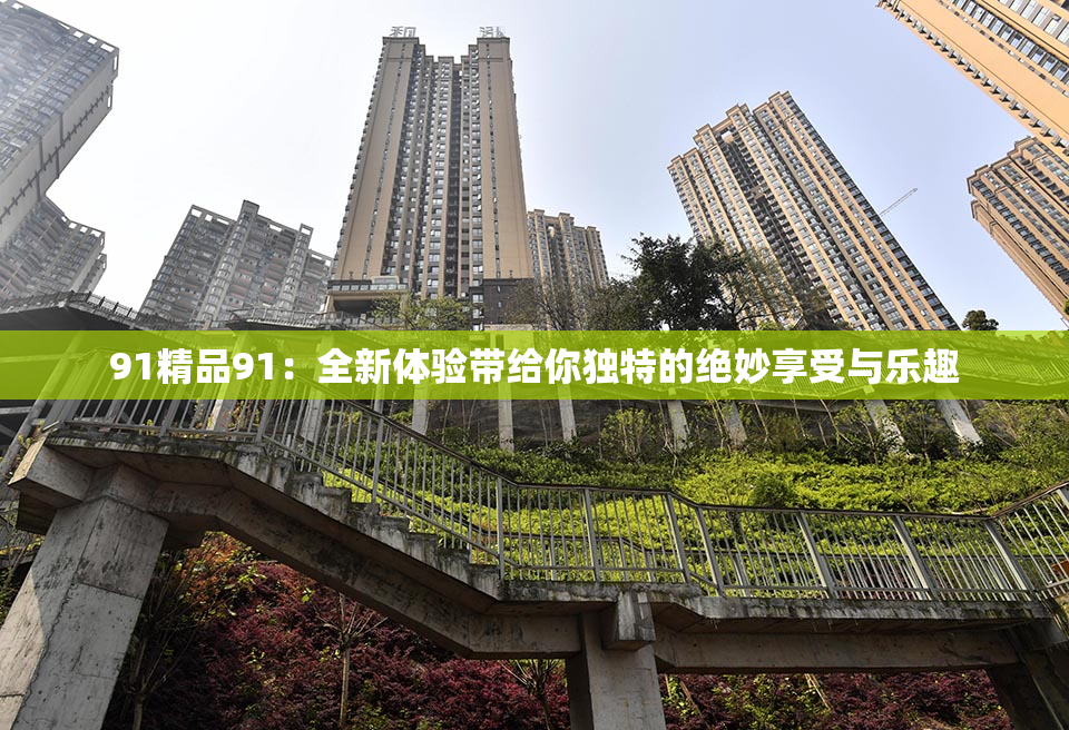 91精品91：全新体验带给你独特的绝妙享受与乐趣