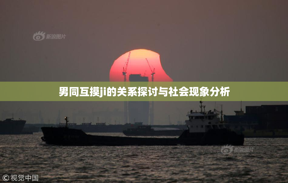 男同互摸ji的关系探讨与社会现象分析
