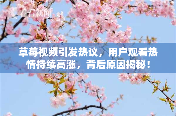 草莓视频引发热议，用户观看热情持续高涨，背后原因揭秘！