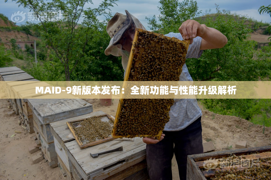 MAID-9新版本发布：全新功能与性能升级解析