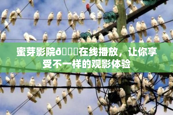 蜜芽影院🔞在线播放，让你享受不一样的观影体验
